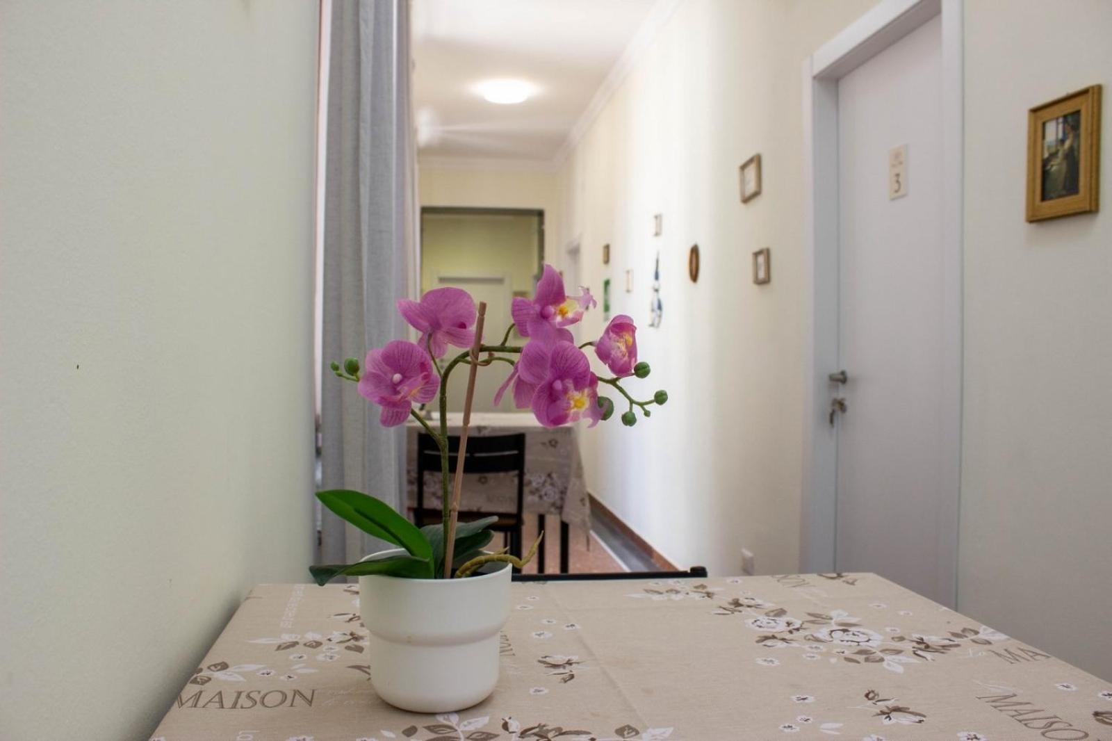 B&B Corso Italia Pisa Kültér fotó